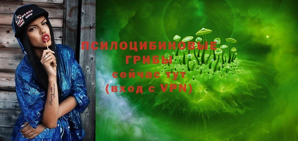 шишки Липки