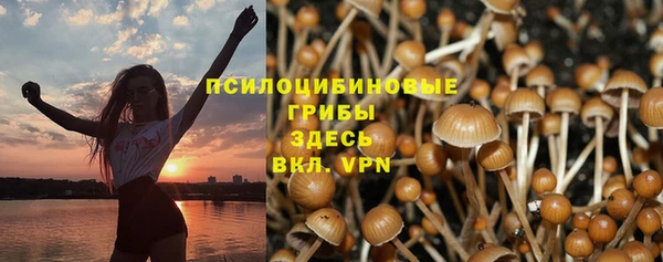 гидра Лиски